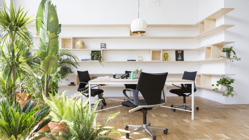 Goroka办公室,西班牙巴塞罗那,Isern Serra&Sylvain Carlet