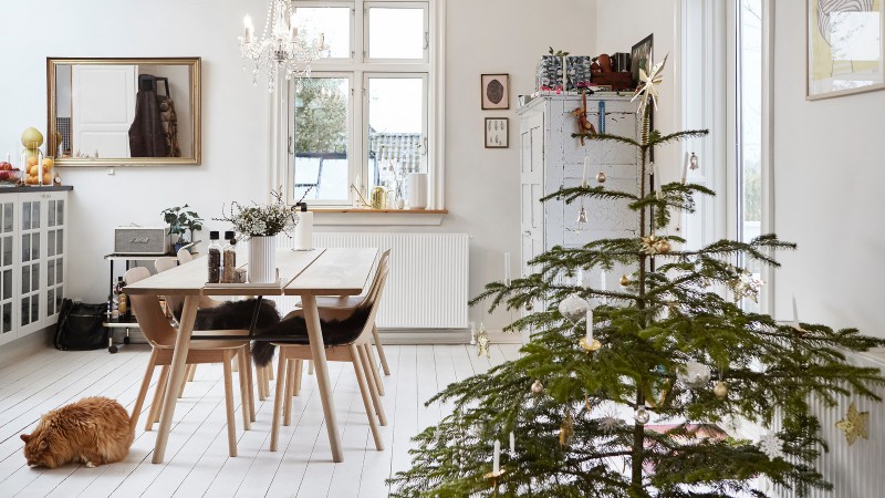 Janni Mellemgaard住宅,丹麦奥胡斯,Mia Mortensen