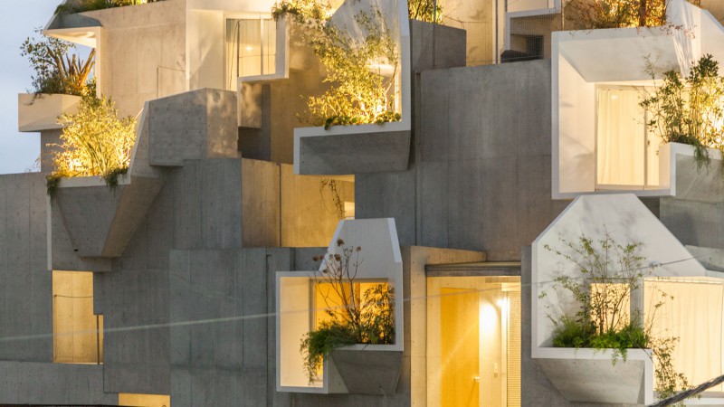 野生建筑,日本东京,Akihisa Hirata