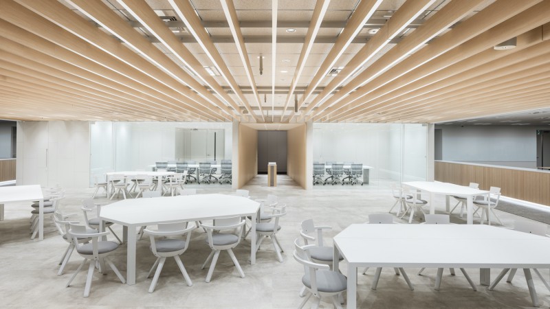 Diamond Head Sapporo办公室,日本札幌,BROOK Inc