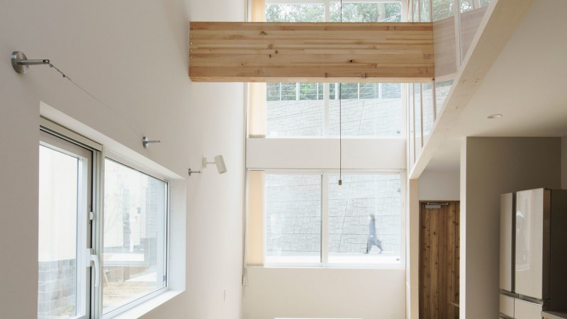 Hayama House,日本东京,ERI SUMITOMO ARCHITECTS &  ENJOYWORKS