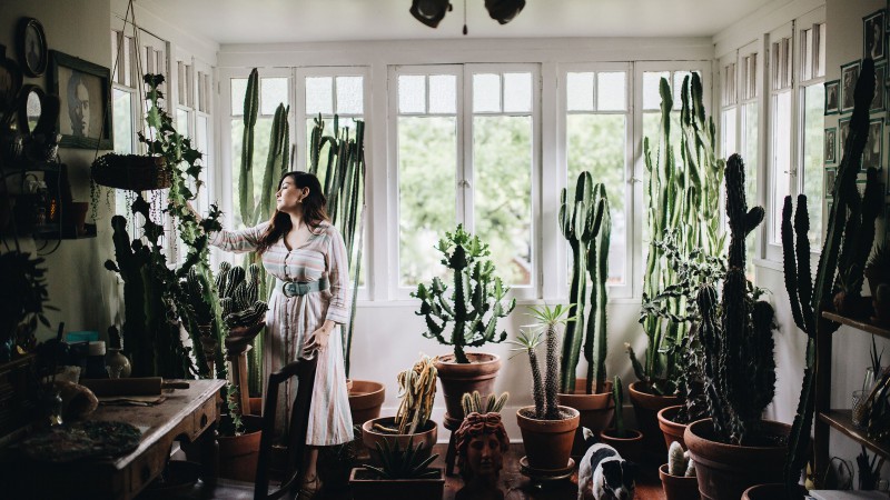 Plant Tribe住宅,法国巴黎,Judith de Graaff