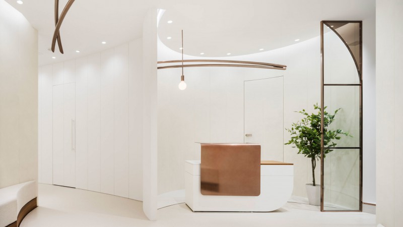 N BEAUTY CLINIC GINZA诊所,日本东京,SESN