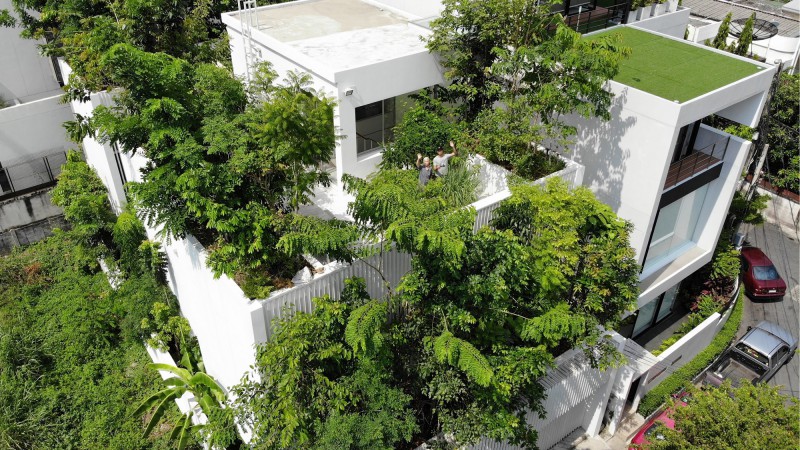 森林之家,泰国乍都节,Shma Company Limited