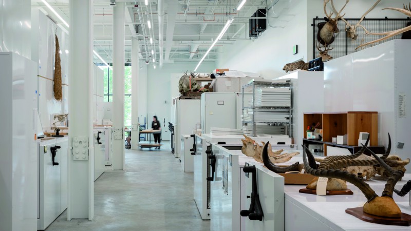 Burke博物馆,美国,Olson Kundig