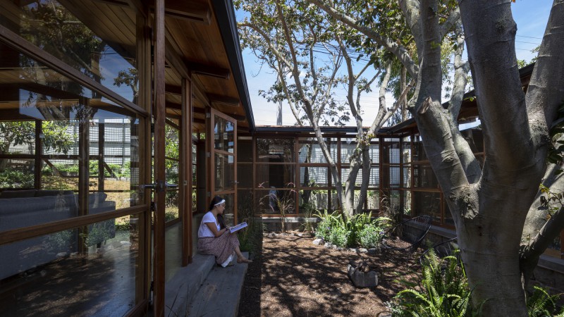 树林之屋,厄瓜多尔,El Sindicato Arquitectura