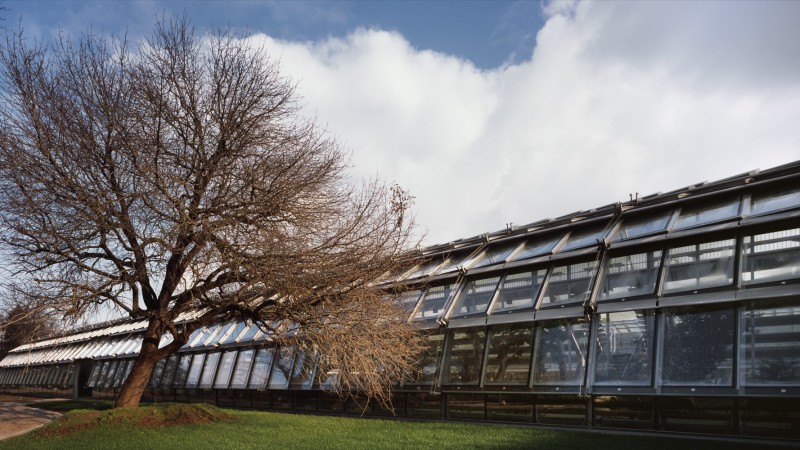 Simonne-Mathieu网球场,法国,Marc Mimram