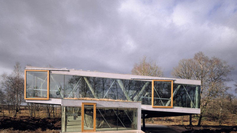 Veluwe国家公园茶馆,荷兰,SEARCH