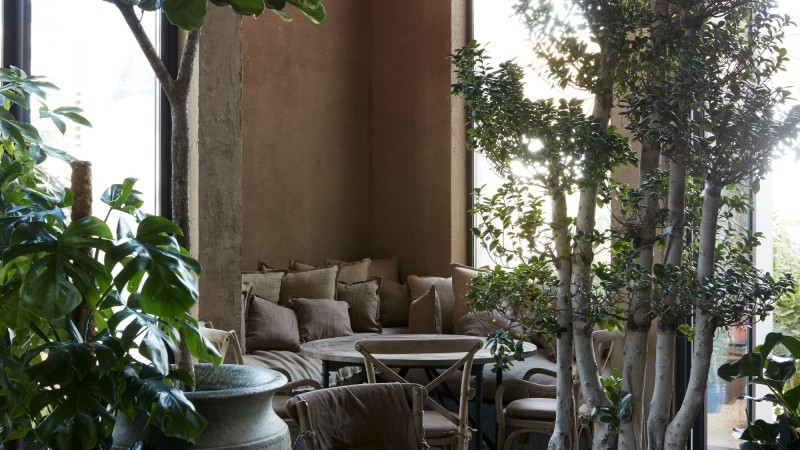 Terra咖啡店,阿联酋, BONE Studio