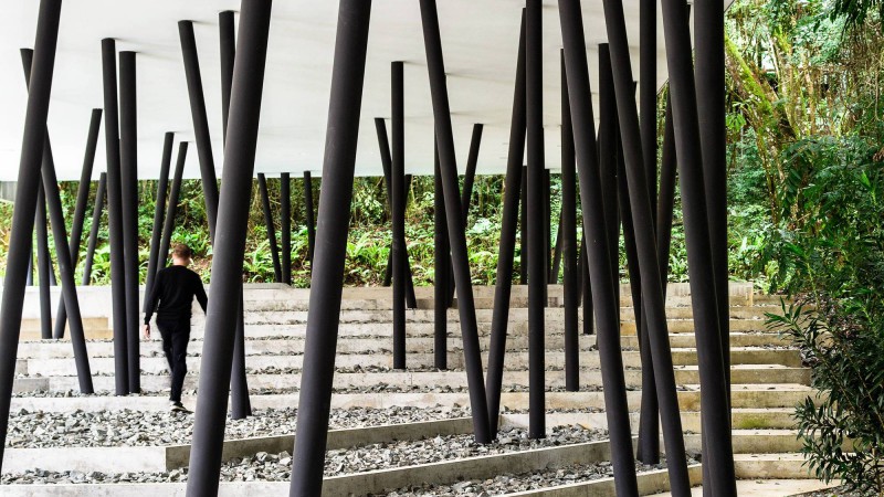 树屋,巴西,Studio Guilherme Torres