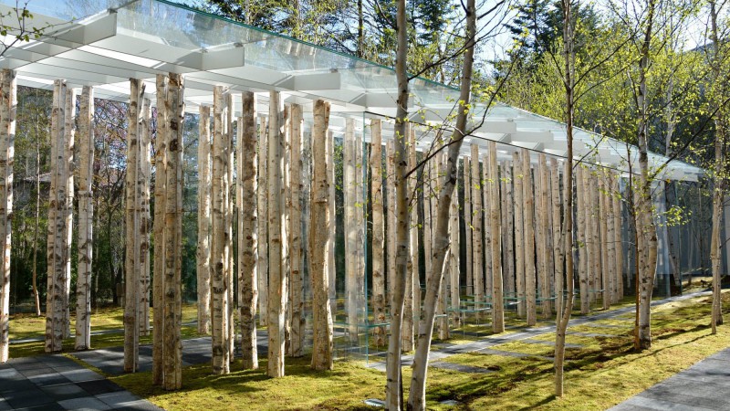 桦木苔藓教堂,日本,隈研吾建筑事务所