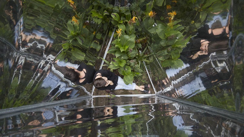 Halo装置,墨西哥,Zeller & Moye