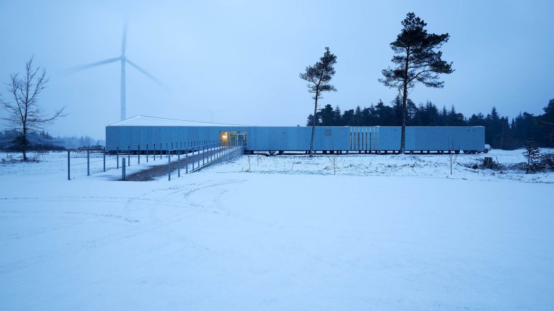 Østerild游客和运营中心,丹麦,Cubo Arkitekter