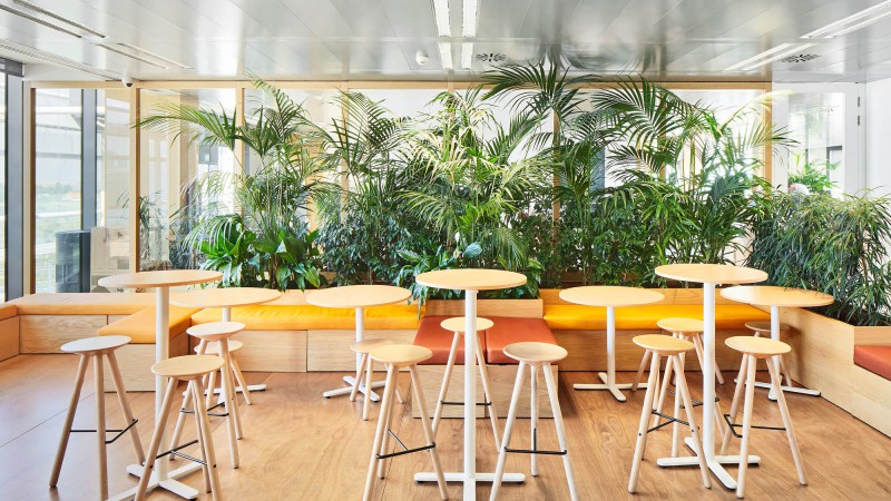 Chemo办公室,西班牙,  Jorge Vidal