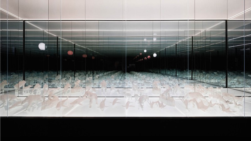 Dexter工作室,韩国,WGNB