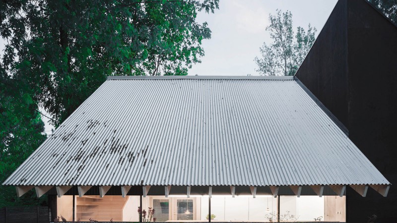 他、她与它,美国, Davidson Rafailidis