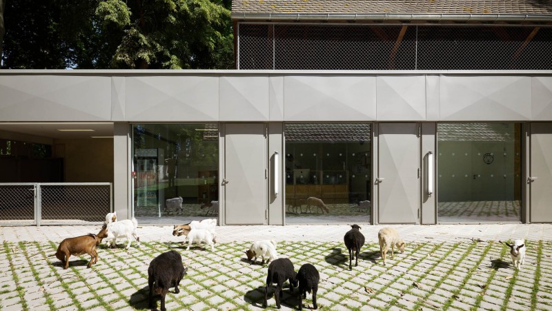 史特拉斯堡动物园的教学农场和游客中心,法国,FREAKS Architecture