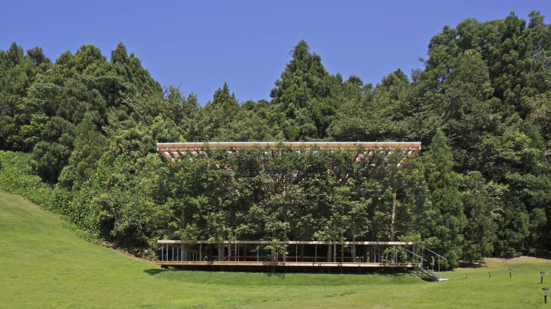 白色凉亭和露天剧场,日本,APL design workshop