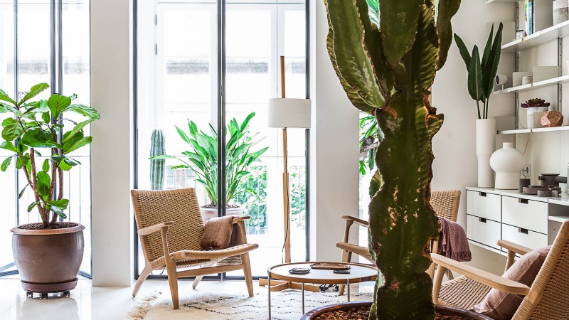 阿根廷街公寓,巴塞罗那,YLAB Arquitectos