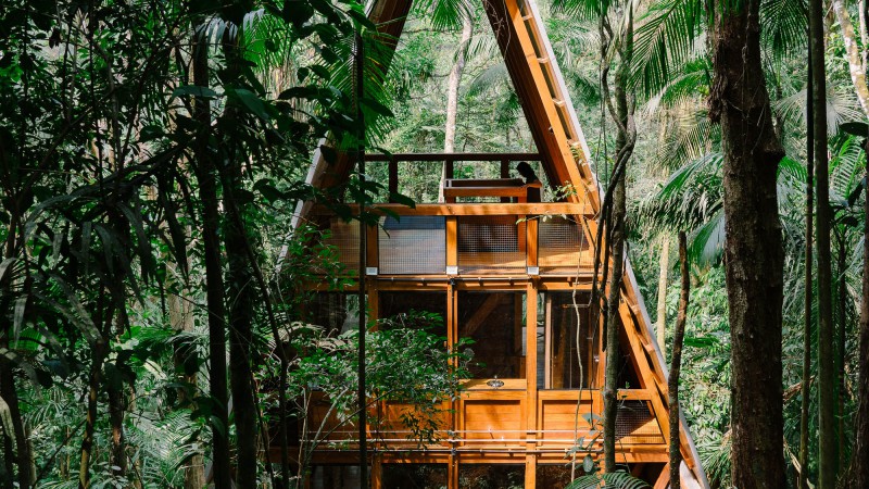 Monkey之家,巴西,Atelier Marko Brajovic