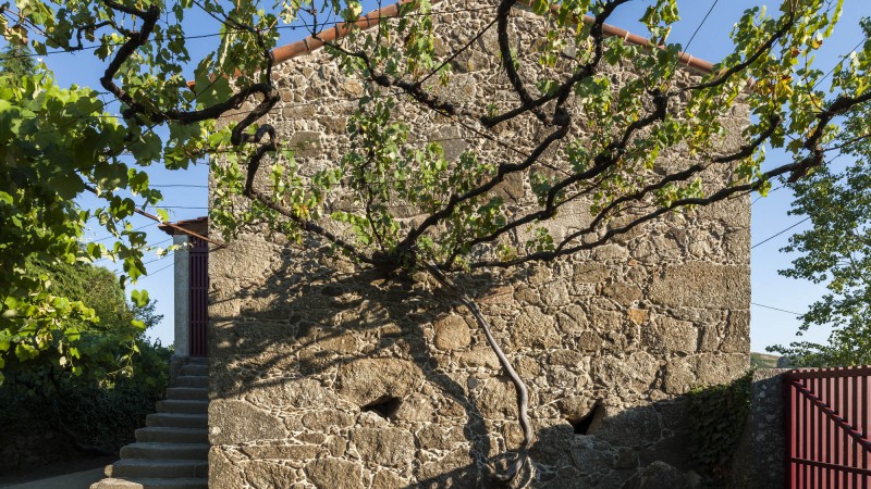 Coura之家,葡萄牙,Luís Peixoto