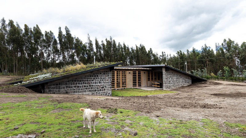 Patios之家，厄瓜多尔，Rama Estudio