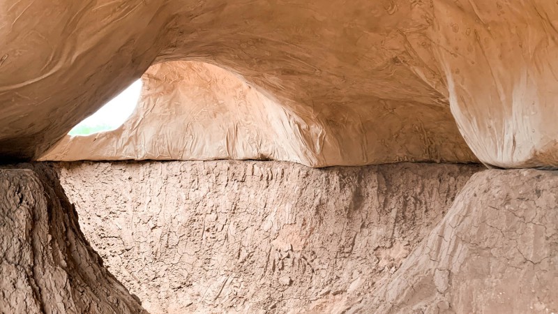 Agg Hab 原生态住宅，美国， i/thee & Roundhouse Platform