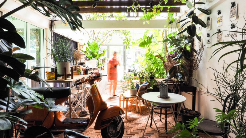 Too Can Cafe，泰国，SOAR