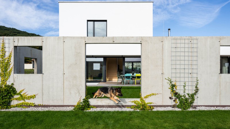 为有宠物的家庭设计的房子，斯洛伐克， Sadovsky & Architects