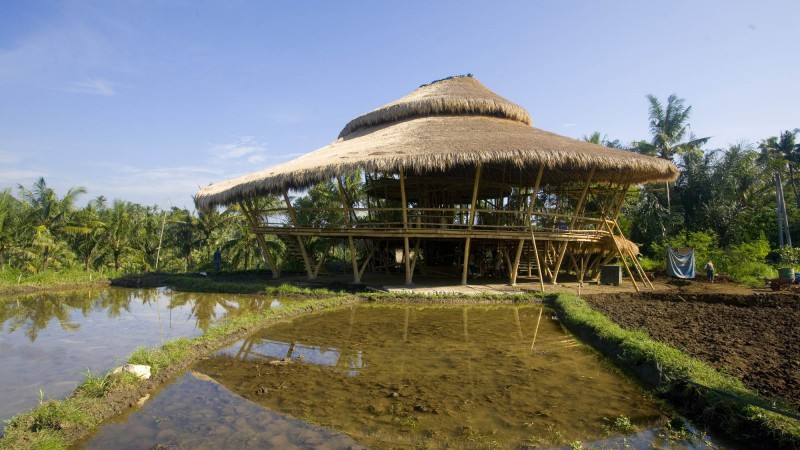 IBUKU总部，印度尼西亚，IBUKU