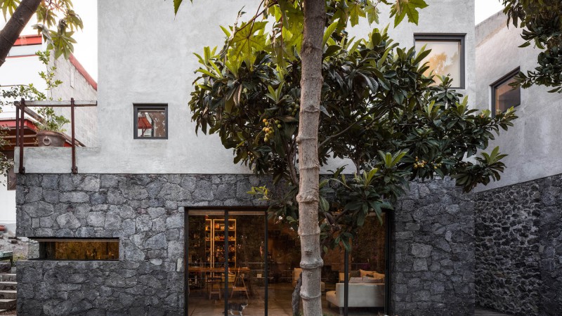 La Pancha之家，墨西哥，tallerdea