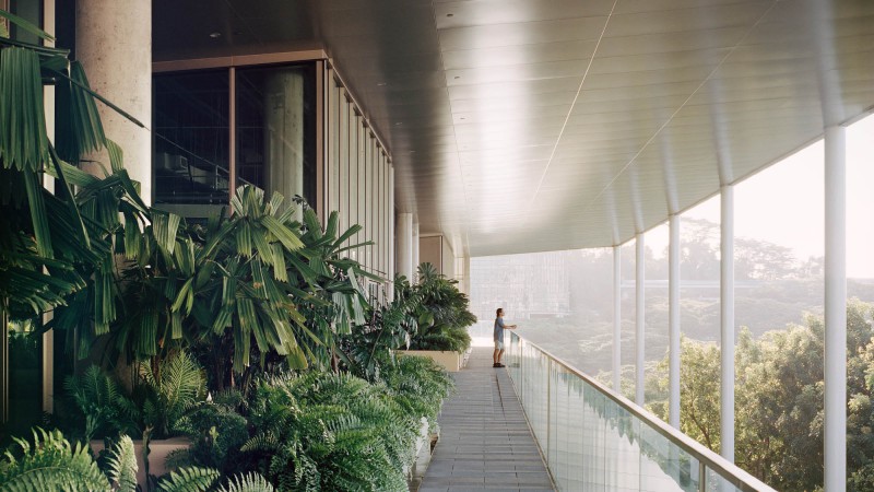 国立大学设计与环境学院 ，新加坡，Serie Architects & Multiply Architects & Surbana Jurong