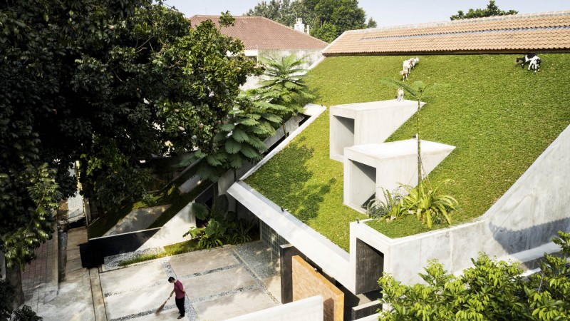 RAD+ar总部，雅加达，RAD+ar (Research Artistic Design + architecture)