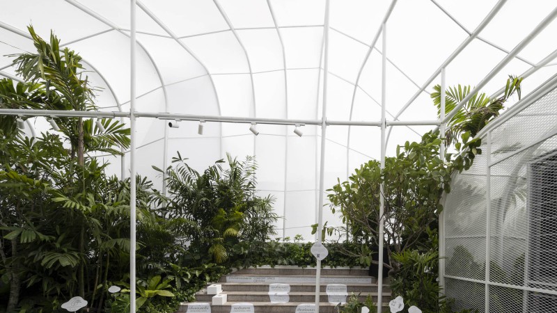 Safezone庇护所，泰国，  Shma Company Limited