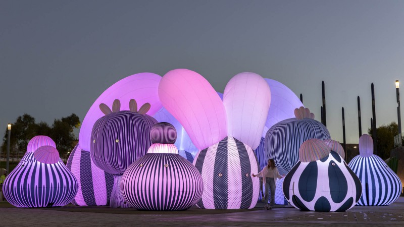 飞艇乐团，阿富汗，ENESS