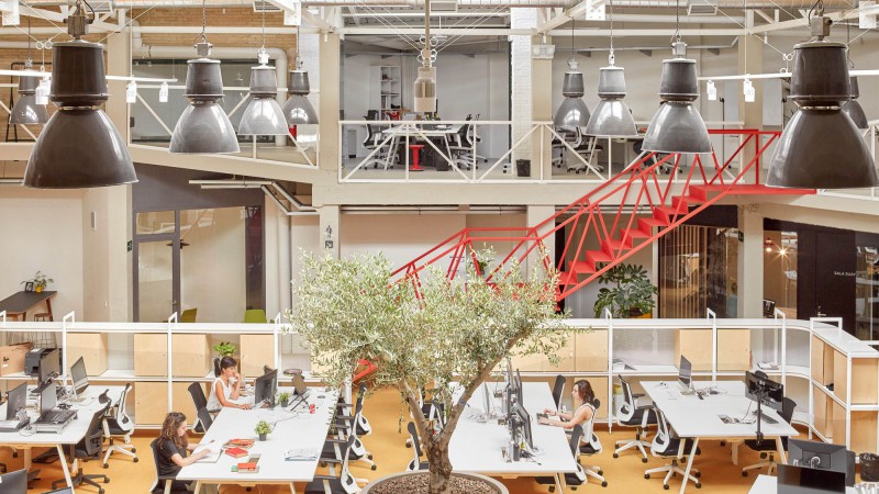 Cowork Wayco Ruzafa 扩建，西班牙，  José Costa