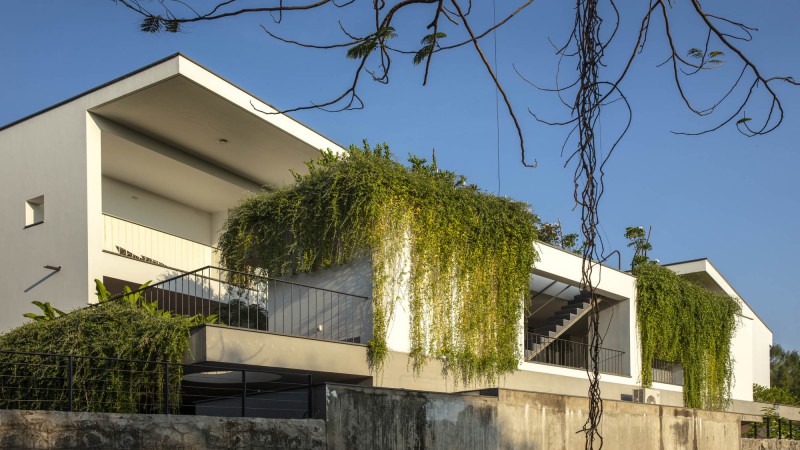 V 之家，印度，moad