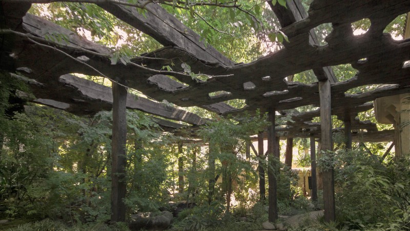 Kokage-gumo 亭，日本， junya ishigami + associates