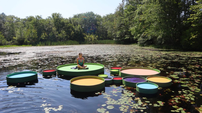 百合计划 ，美国，Jaemee Studio