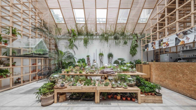 热带森林咖啡店，越南，Tayone Design Studio