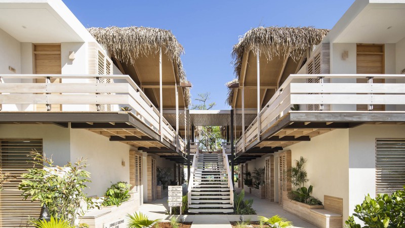 金鬣蜥酒店 ，哥斯达黎加，Studio Saxe