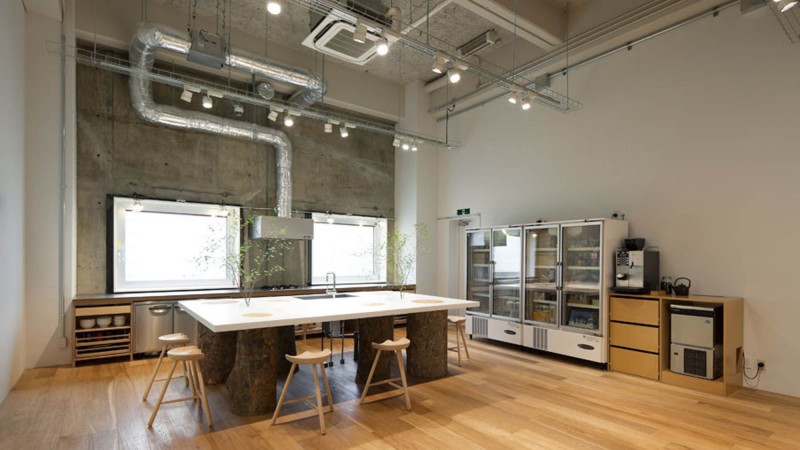 Hue Plus，日本， Schemata Architects