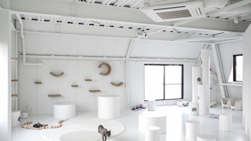 Protective Cat Cafe necoma商店，东京，TANK &  Meiji University Construction Planning Laboratory