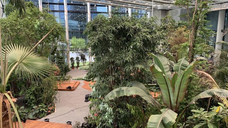 异国情调的工作场所花园，波兰，Malinowski Design Urban & Landscape