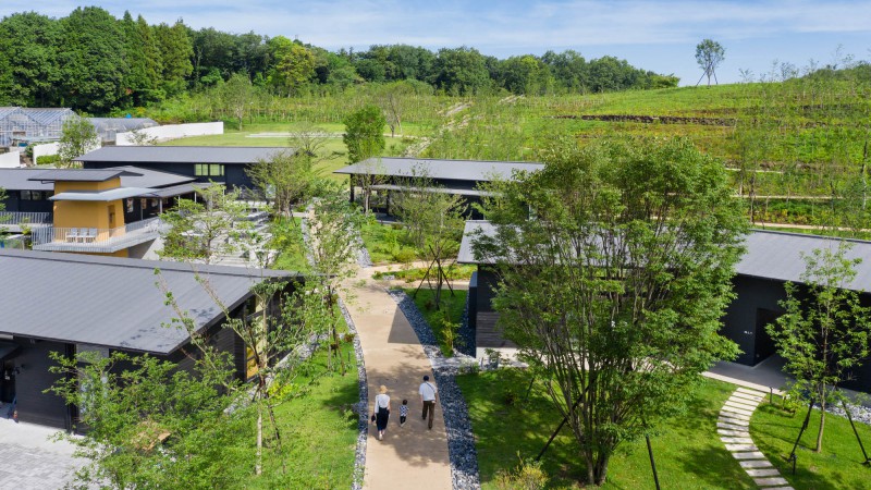 町田彩色森林，日本， N. Yamada Architect & Associates