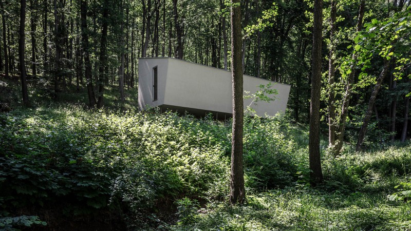 Moss小屋，匈牙利， Béres Architects