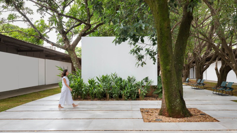 植物装置 ，巴西， Studio Pippa