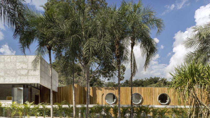 Yellow Ipê 之家，巴西， Leo Romano