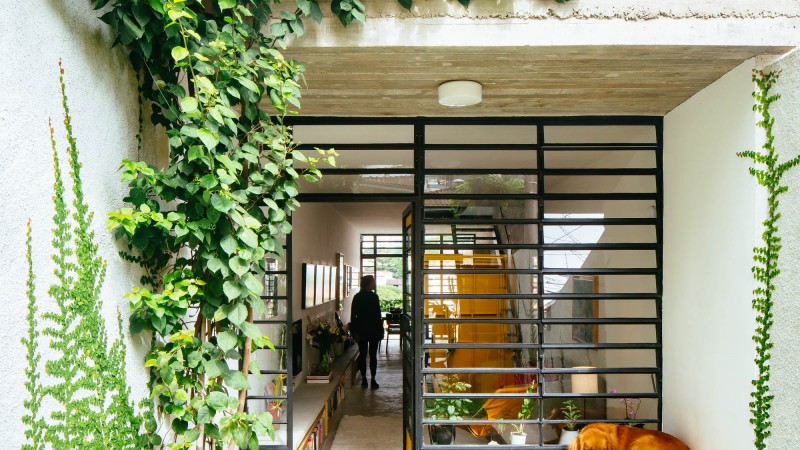 3x33之家，巴西，  23 SUL