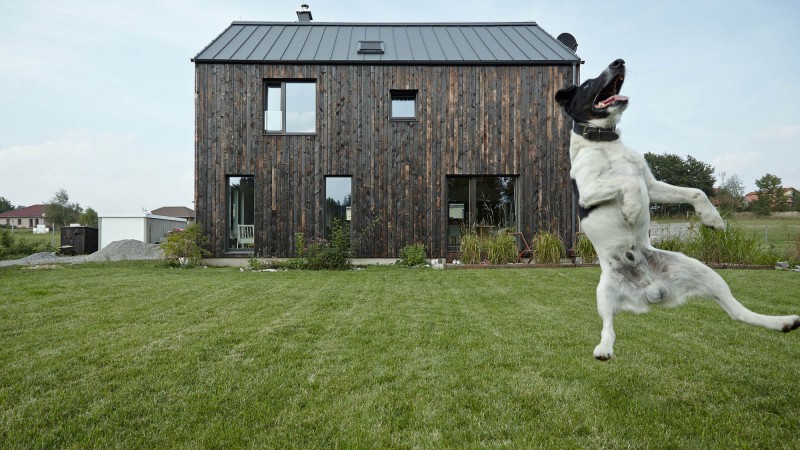 Dox 之家，捷克，Mjölk architekti